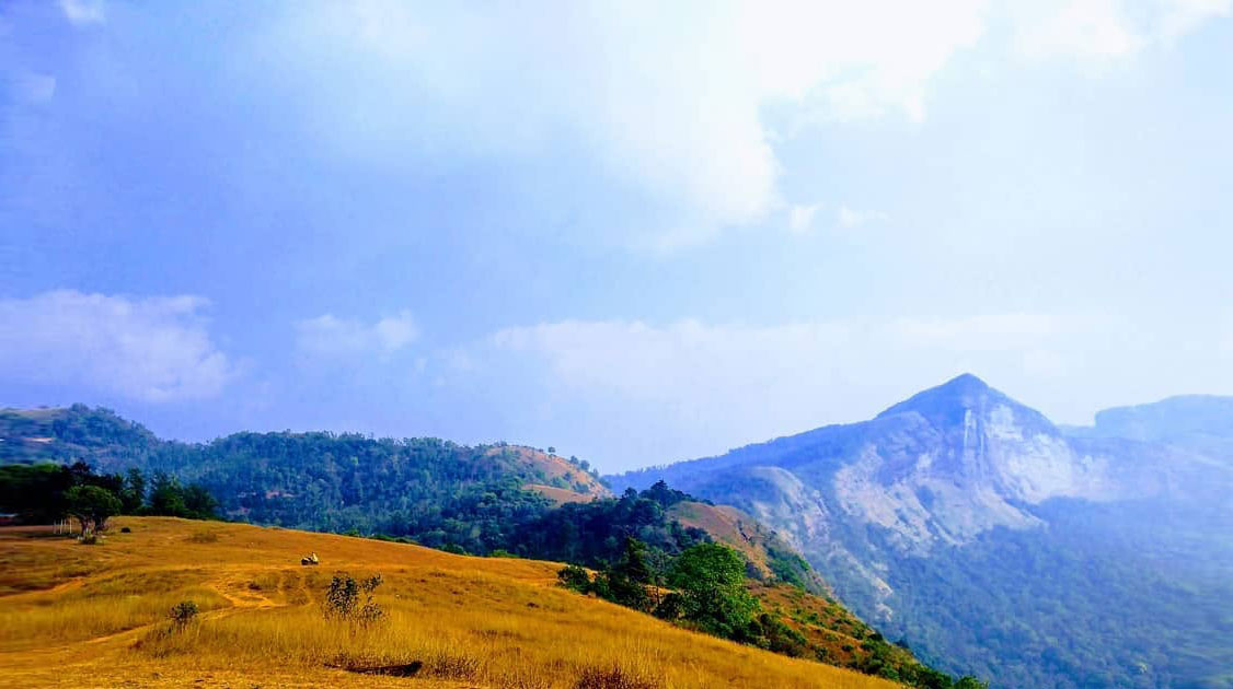 maidadi-viewpoint