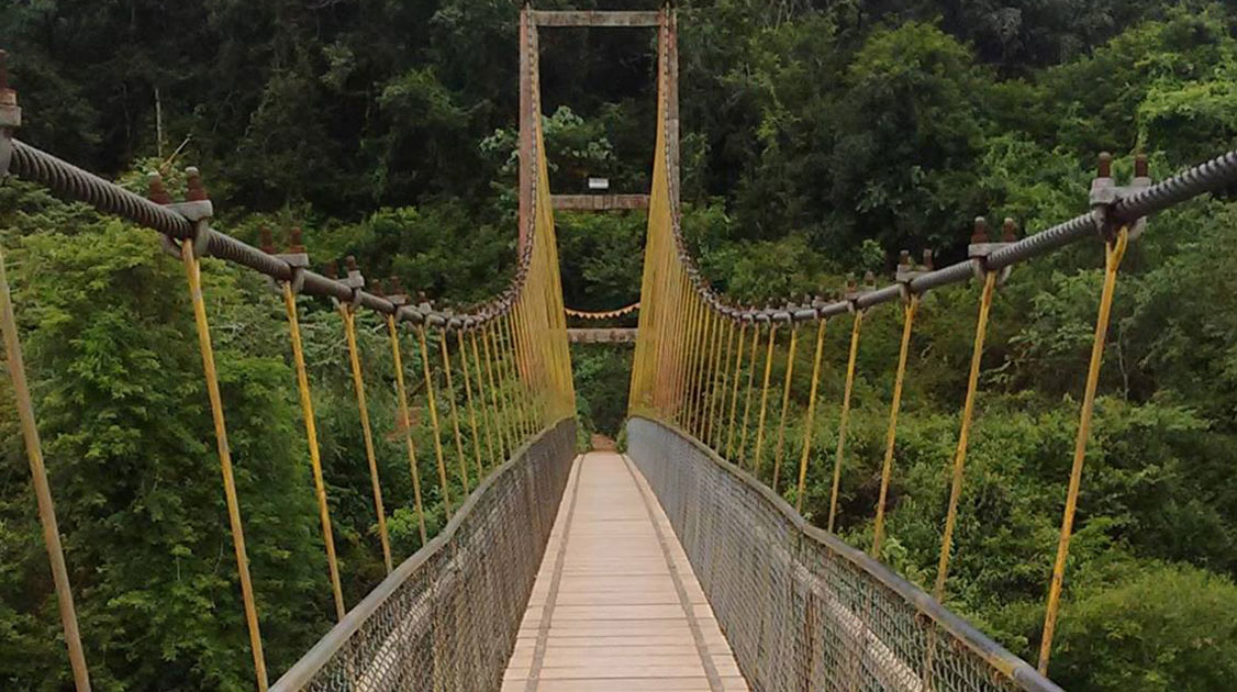 vasantha-thirtha-hanging-bridge